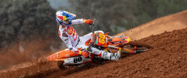 KTM 250 SX-F ADAMO EDITION: Motor