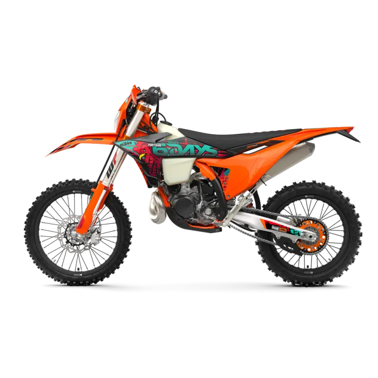 KTM 300 EXC 6DAYS: Antrieb