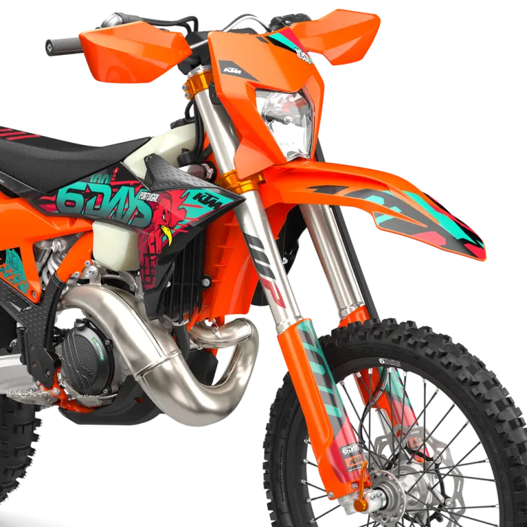 KTM 300 EXC 6DAYS: Motor
