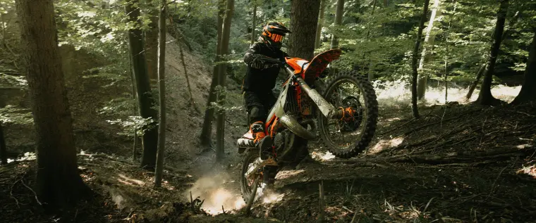 KTM 300 EXC HARDENDURO: Bremse