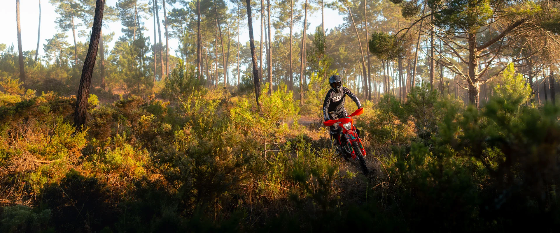 KTM 350 EXC-F 6DAYS in Fahrt
