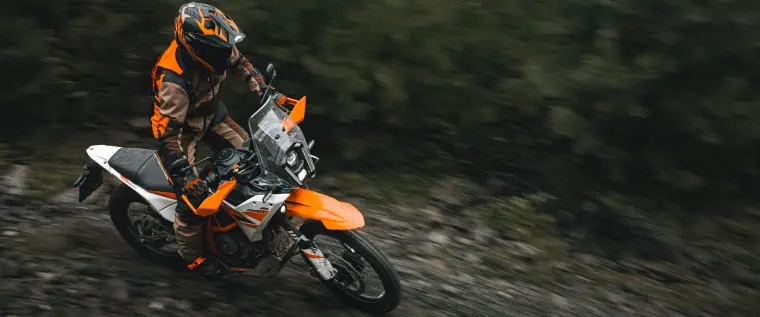KTM 390 Adventure R: Bremse