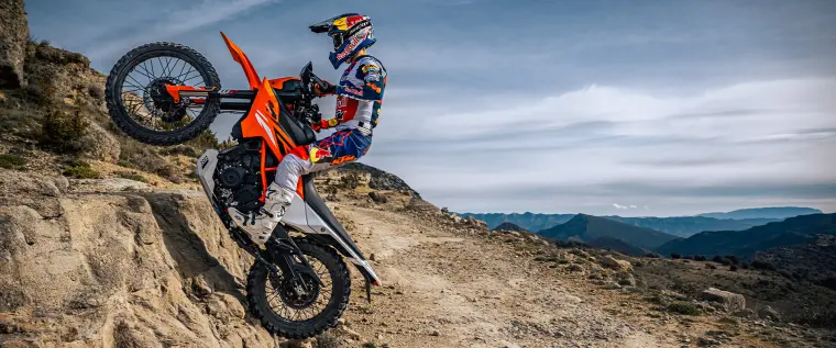 KTM 390 Enduro R: Motor
