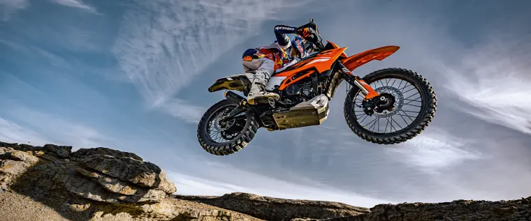 KTM 390 Enduro R: Bremse