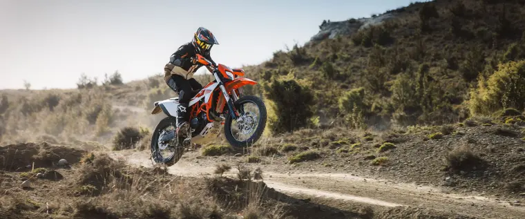 KTM 690 Enduro R: Bremse