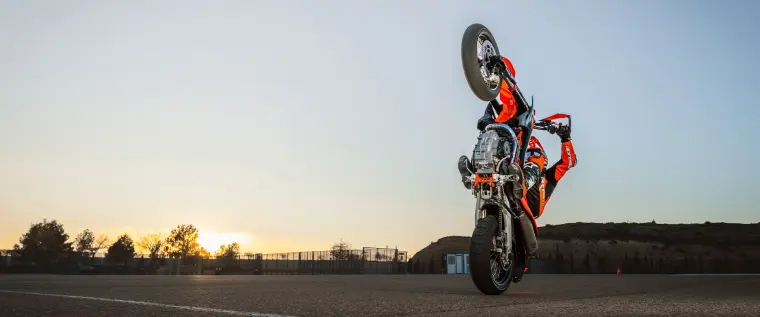 KTM 690 SMC R: Bremse