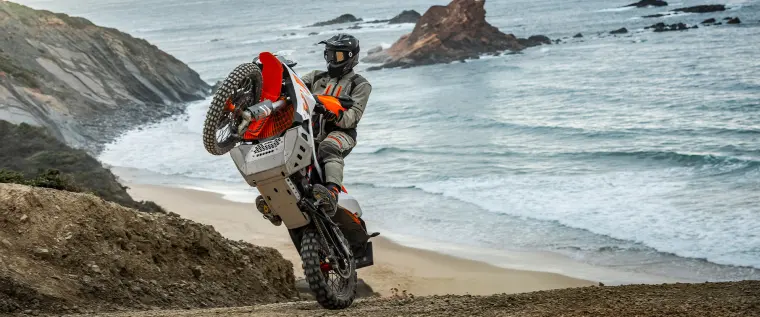 KTM 890 Adventure R: Bremse