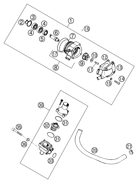 Explosionsgrafik WASSERPUMPE