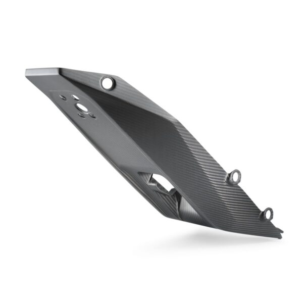 pho_pp_nmon_530473_a60708919000_rear_fairing_studio_pictures_street__sall__awsg__v1
